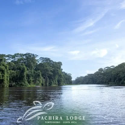 A river flowing through a lush green rainforest under a blue sky with some clouds, taken near Pachira Lodge in Tortuguero, Costa Rica.