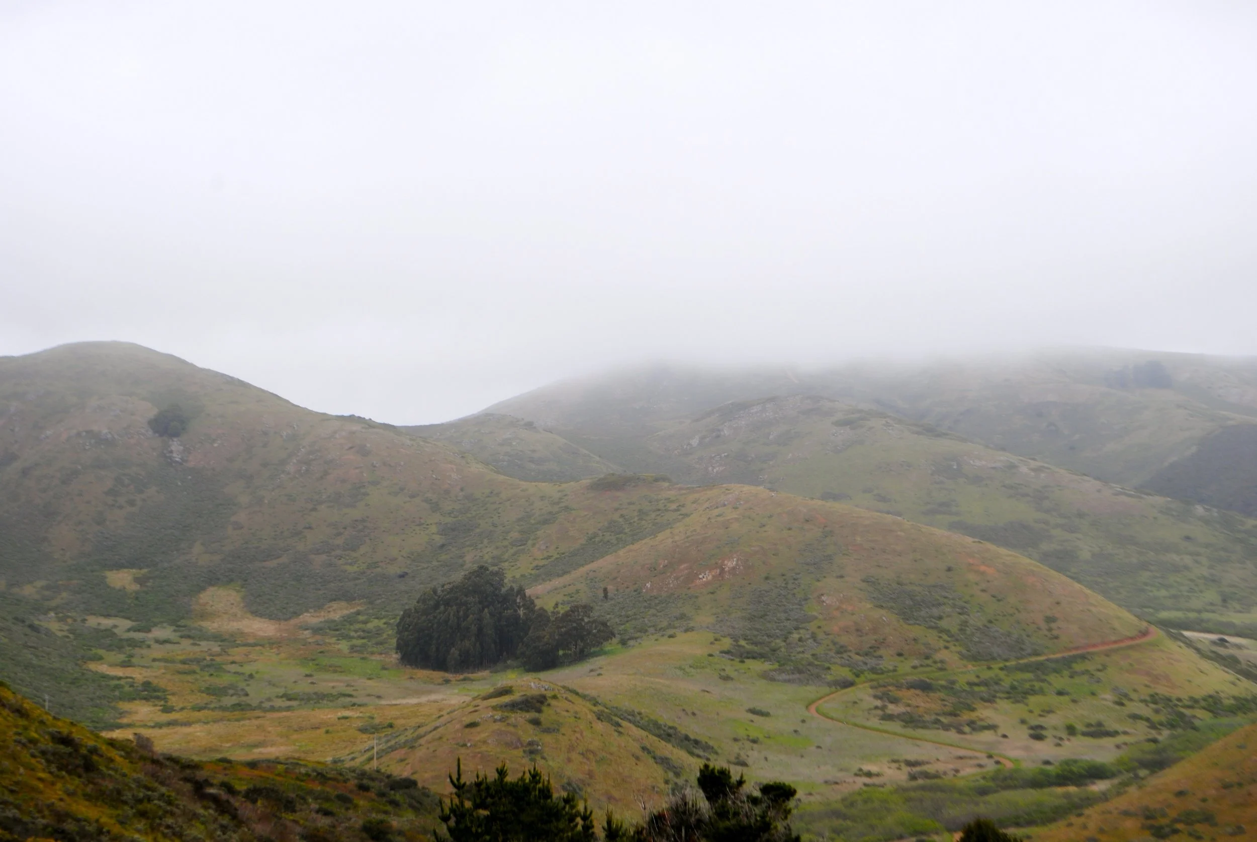 DSC_0005-2.jpg