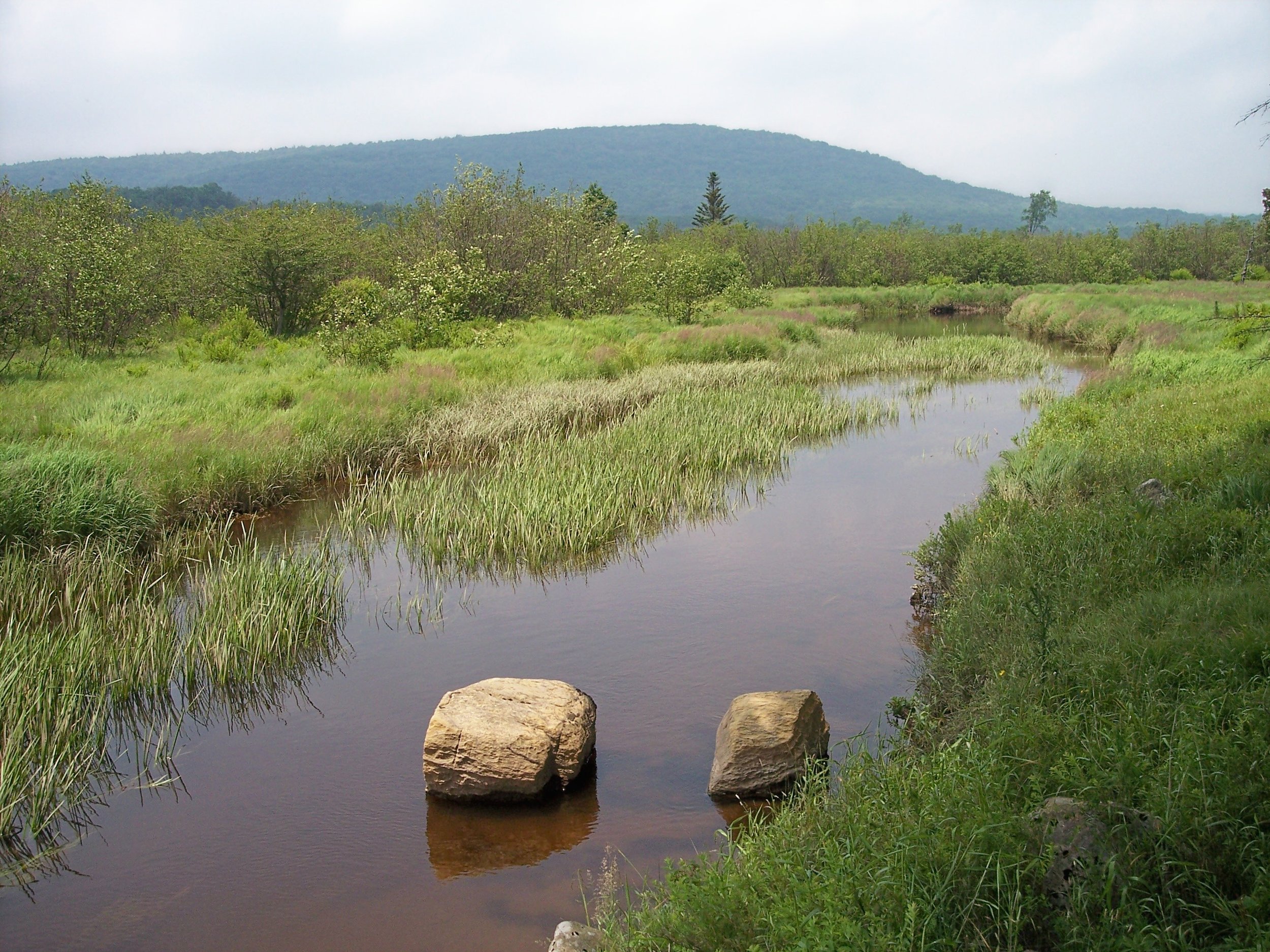 Blackwater_River_Canaan_Valley_Resort_State_Park.jpg