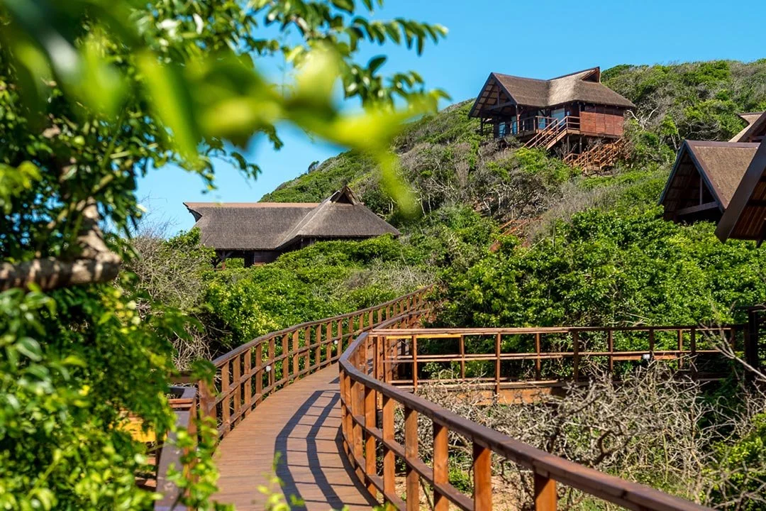 Wooden walkway leading through lush green trees and shrubs, with several wooden cabins with thatched roofs on a hillside under a clear blue sky.