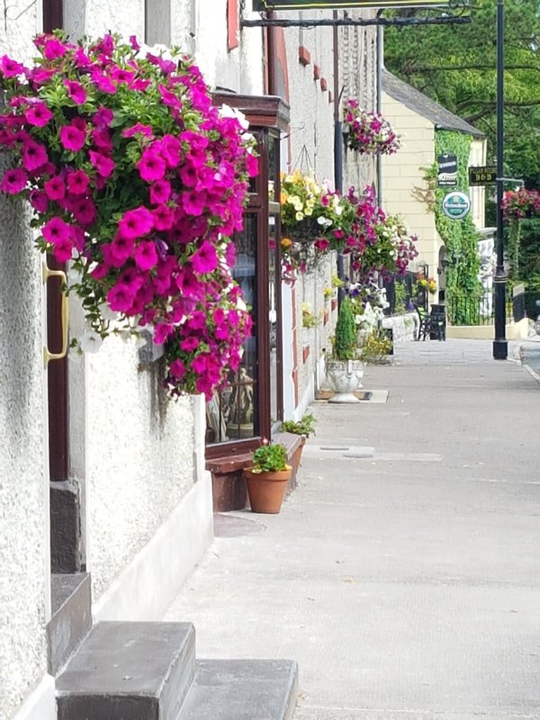 Colorful flowers in hanging baskets and pots decorate the sidewalk outside buildings in a small town or neighborhood.