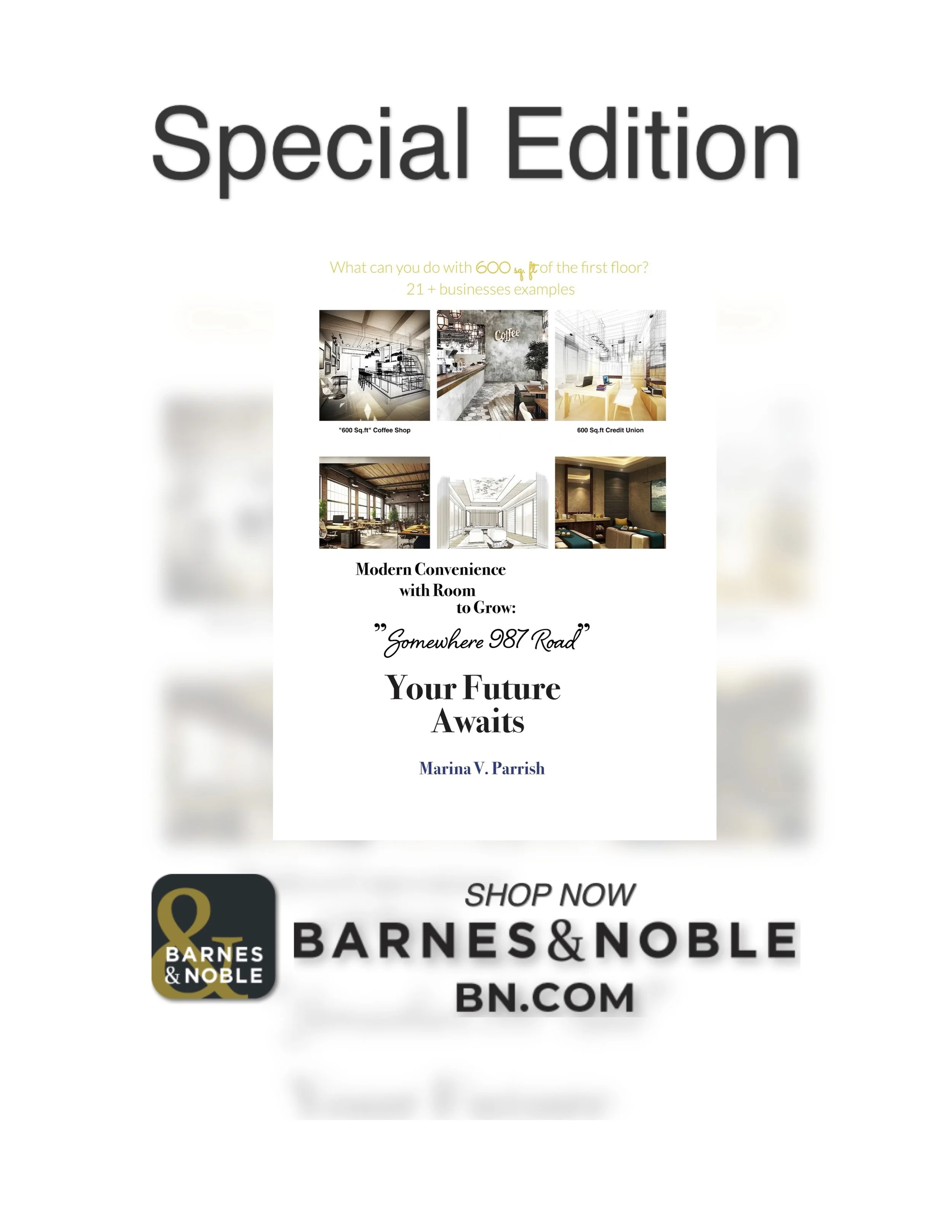 Barns&NobleCOVERAD.jpg