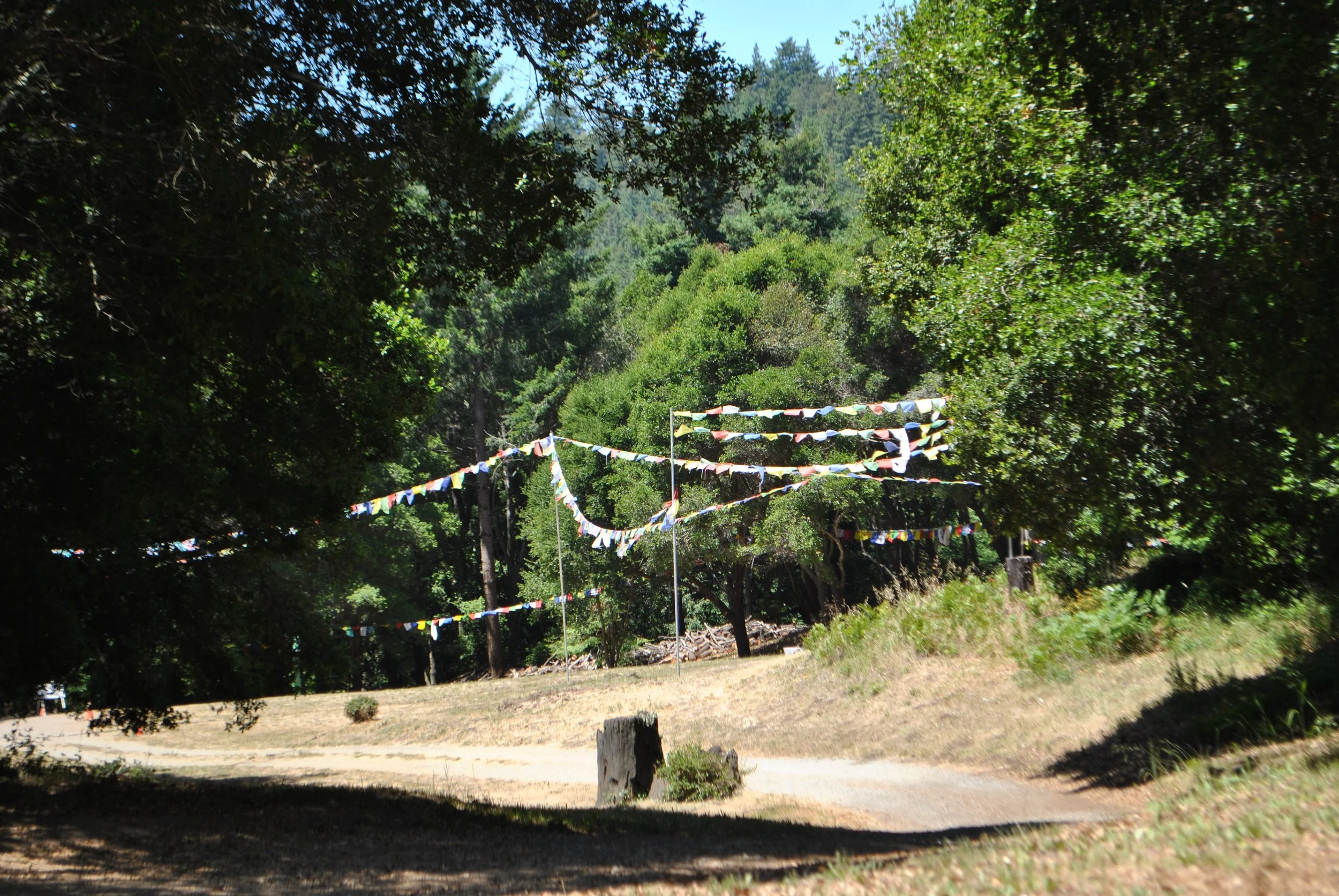 DSC_1671.jpg