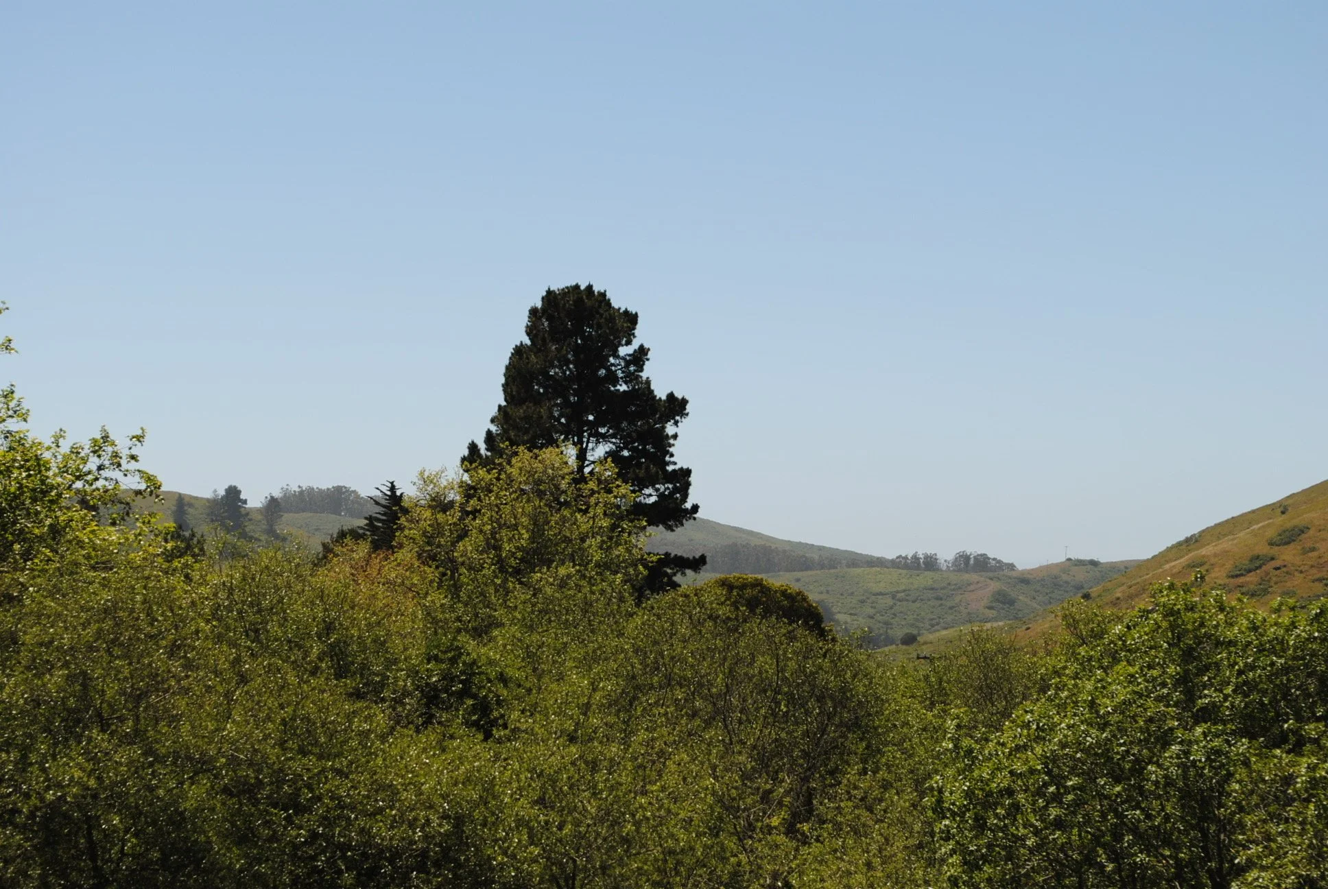 DSC_0055.JPG
