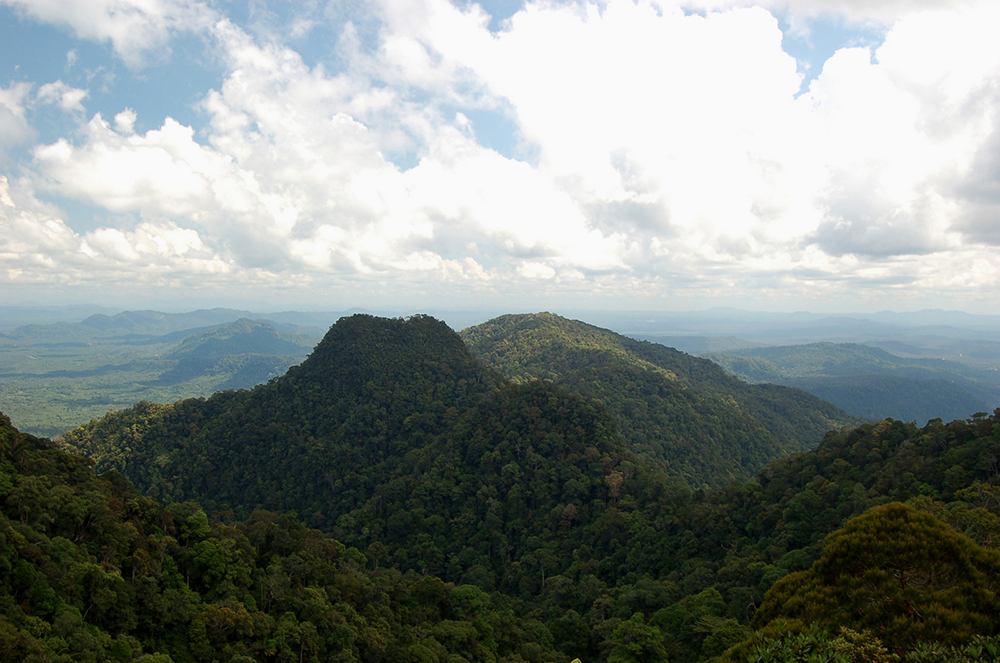 kubah-photo2.png