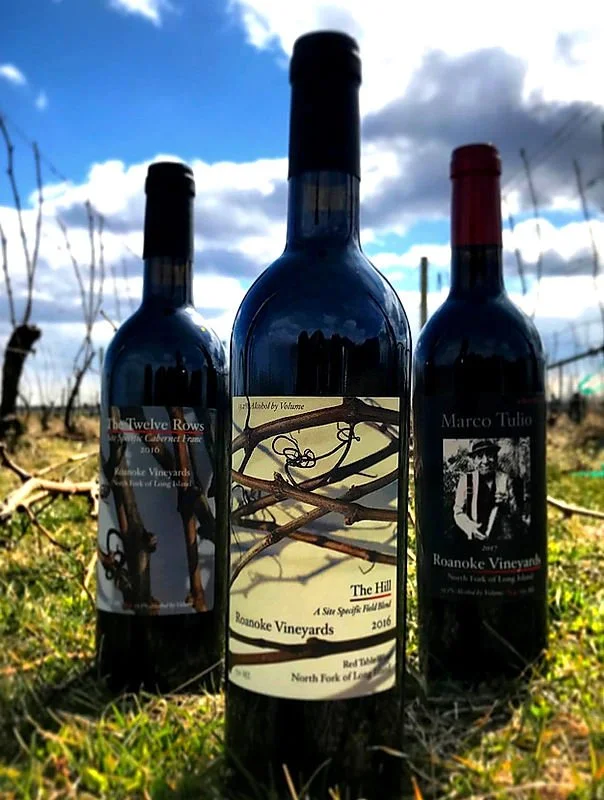 Three wine bottles standing upright outdoors in a field with grapevines in the background and a partly cloudy sky overhead.