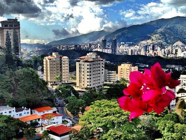 Cityscape with tall buildings and mountains in the background, with pink flowers in the foreground.
