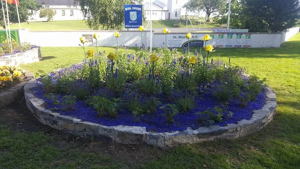 A circular flower bed with yellow flowers and purple flowers, bordered by gray stone, located in a grassy area near a school. In the background, there are signs for St. Mary's N.S. and the school name on a blue board.