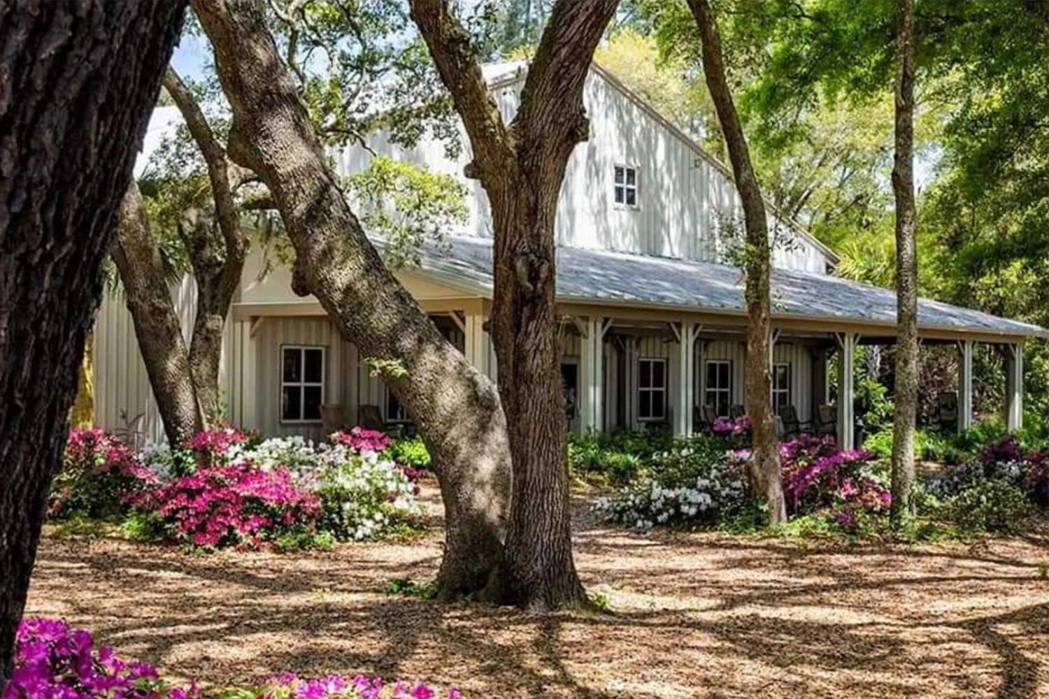 charleston-tea-plantation-shop.jpg