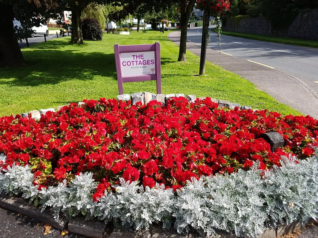 A flower bed with bright red flowers surrounded by silver-leaved plants, located on a sidewalk next to a grassy area with trees. A sign reading 'THE COTTAGES' is in the background.