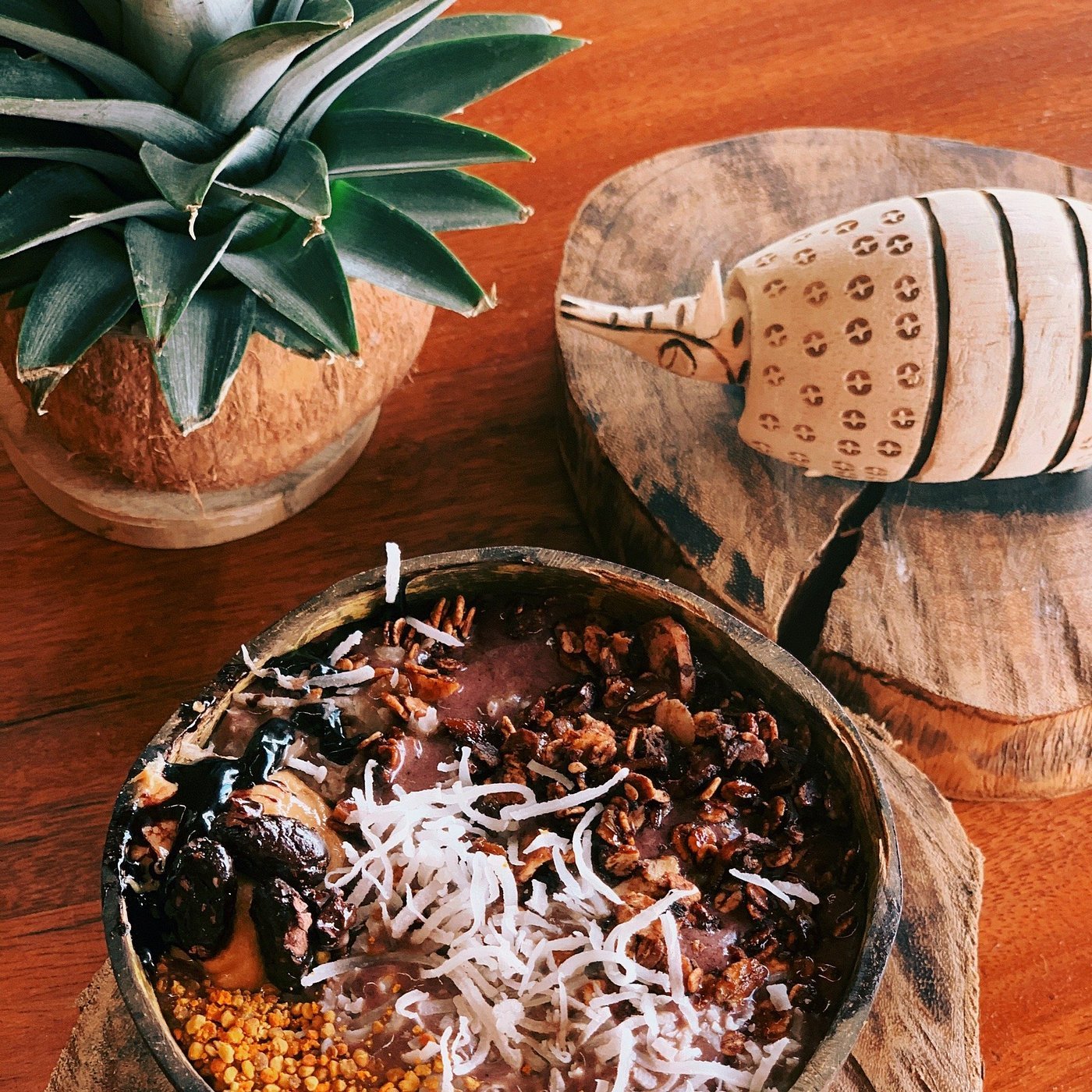 A bowl of chocolate dessert topped with chocolate chips, shredded coconut, caramelized nuts, and crushed cookies, set on a wooden table. A potted pineapple plant is nearby, and a wooden sculpture with a carved elephant on a wooden slice is in the bac