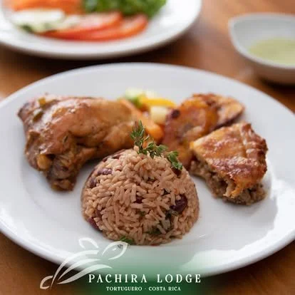 Plate with a serving of rice and beans, fried chicken, and grilled chicken pieces, garnished with parsley, on a white plate. In the background, a small bowl of green sauce and a salad are visible.