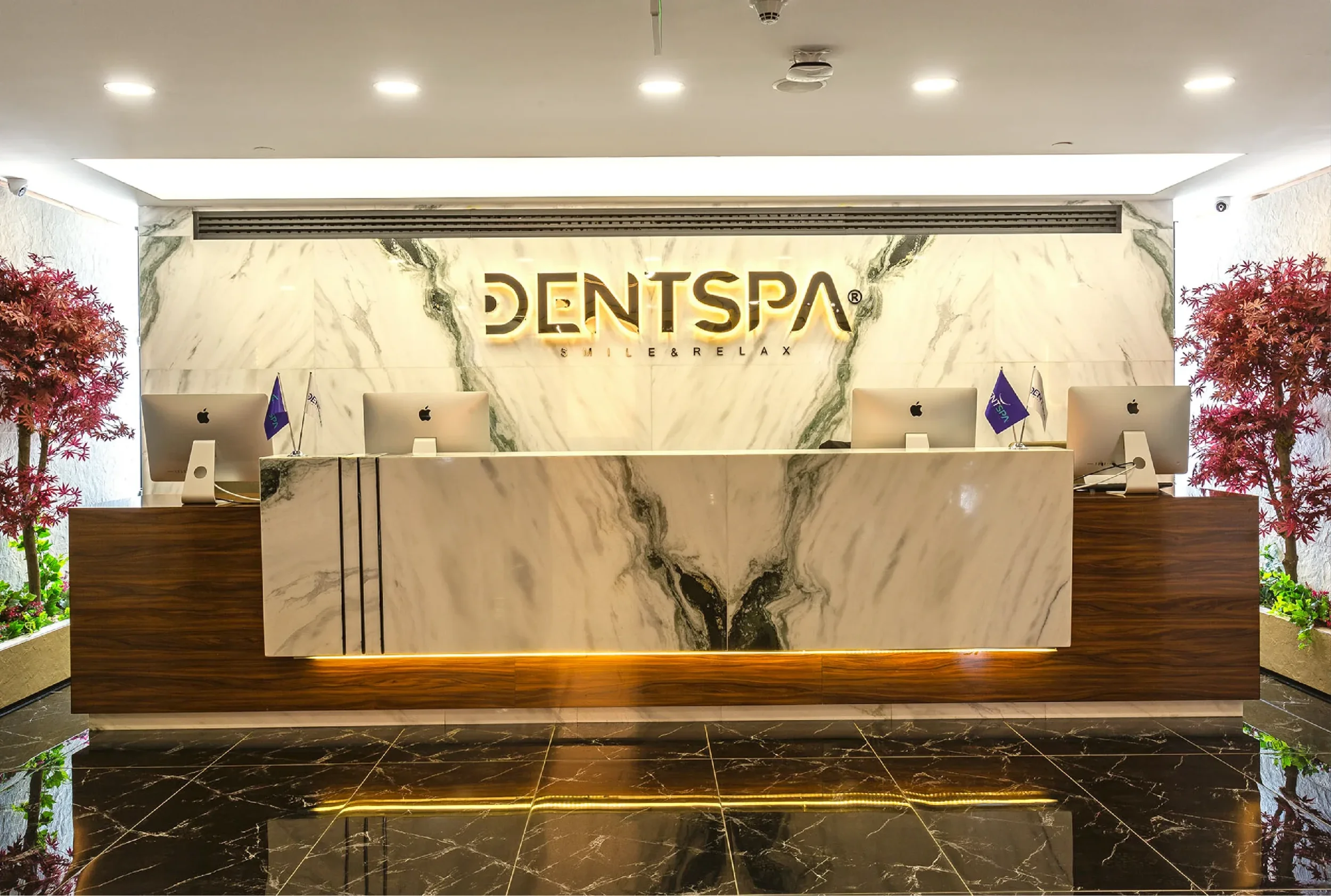 dentspa-package_1748203024-scaled.webp