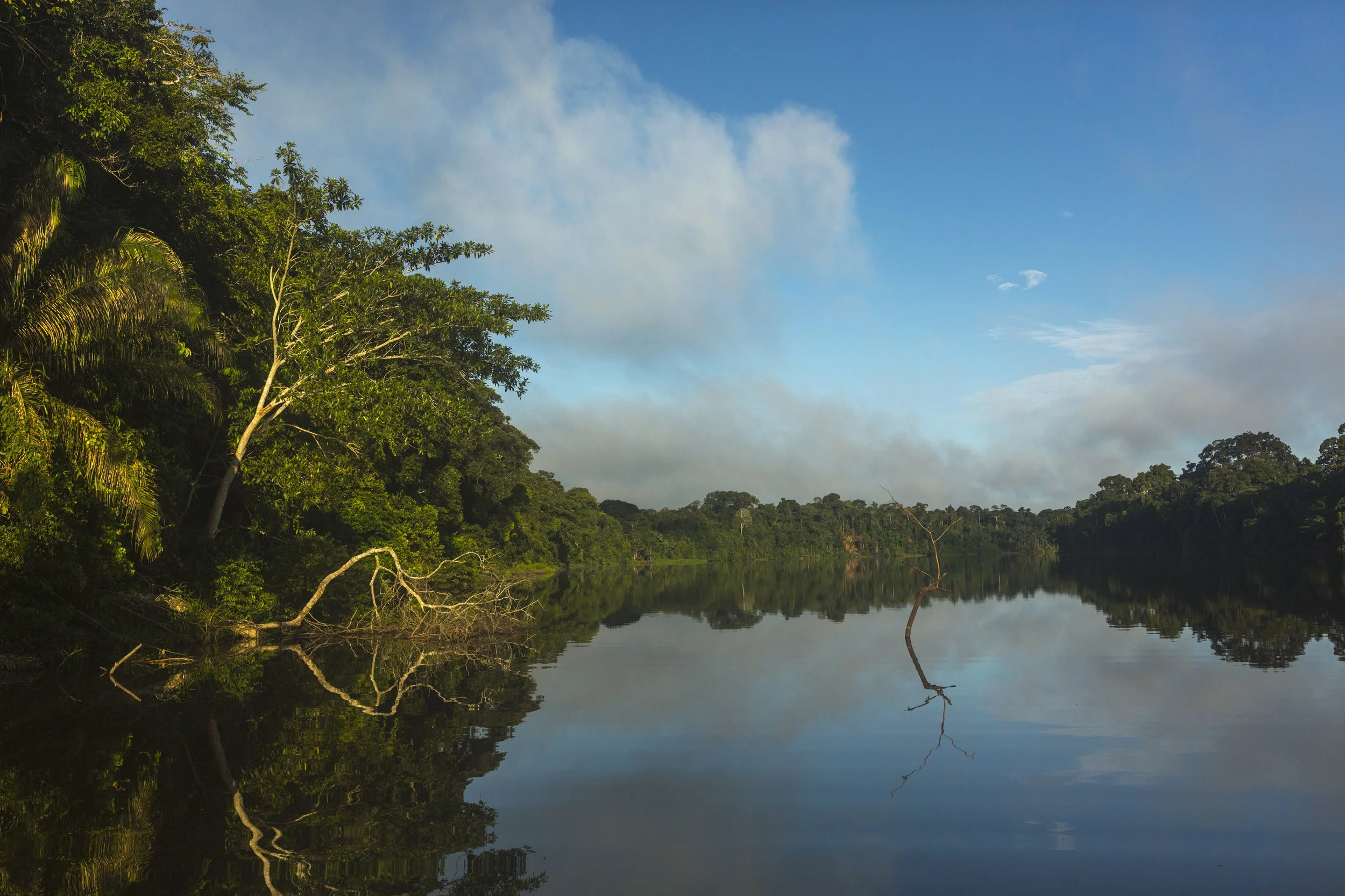 A river with calm water reflecting green trees on the bank and a partly cloudy blue sky above.