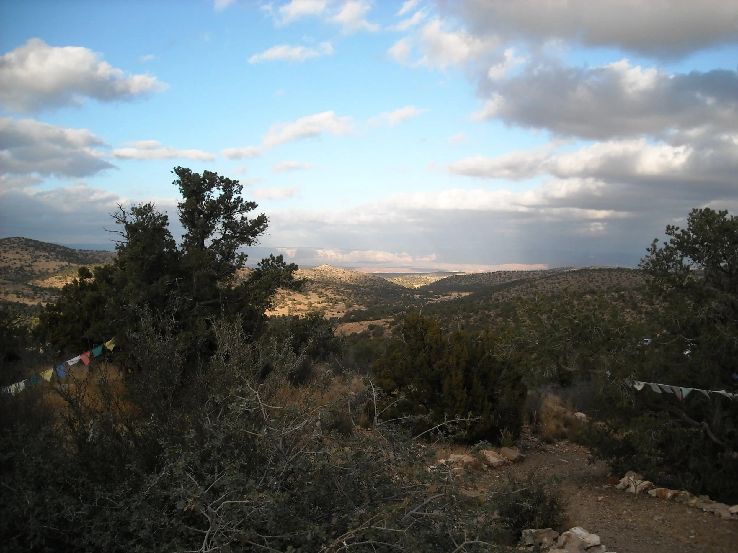 DSCN2771.JPG