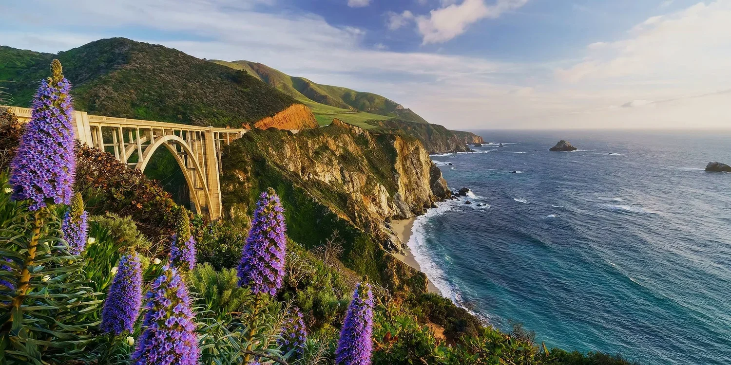 Coastal landscape featuring the Bixby Creek Bridge, rugged cliffs, purple wildflowers, and the ocean at sunset.