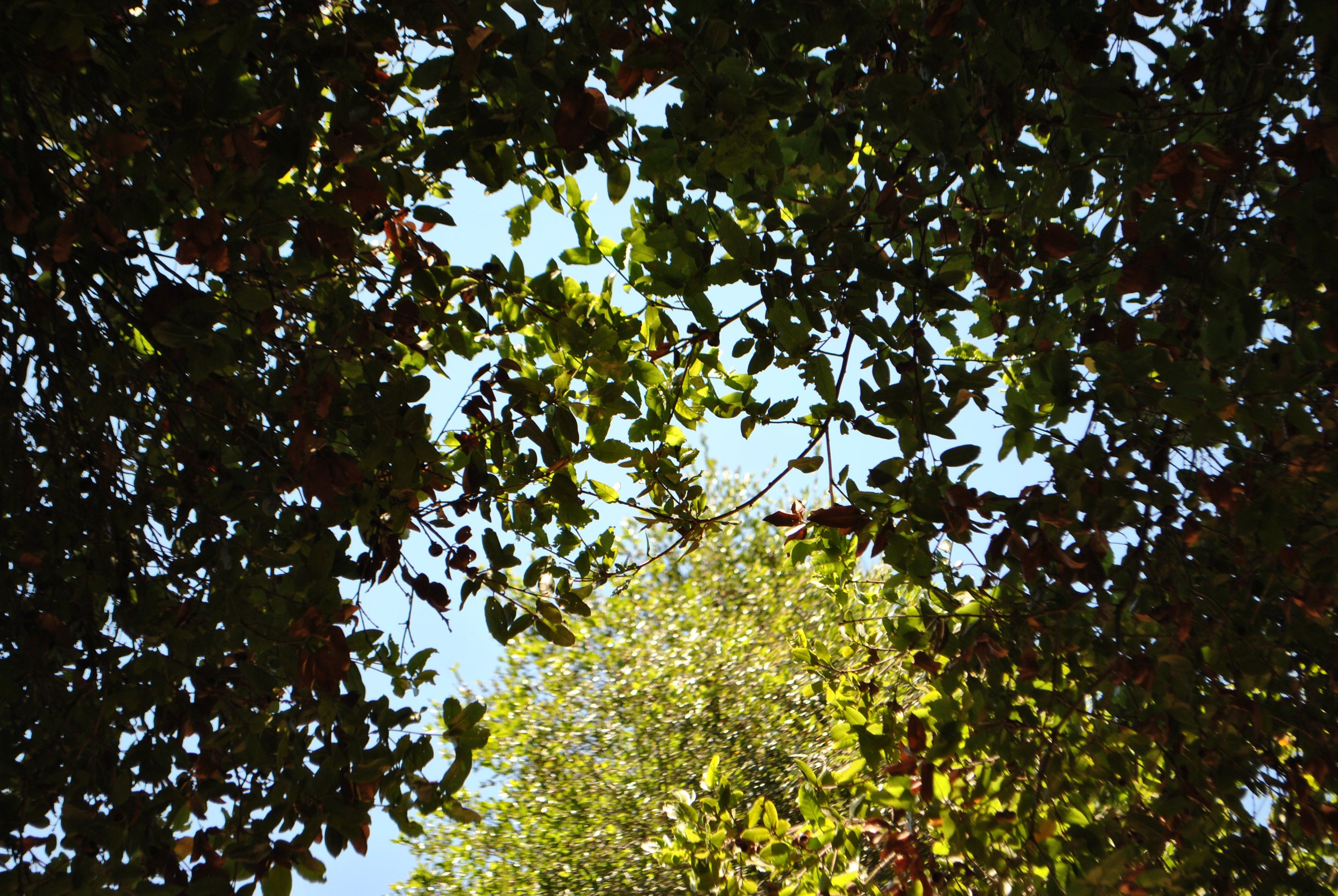 DSC_1672.jpg