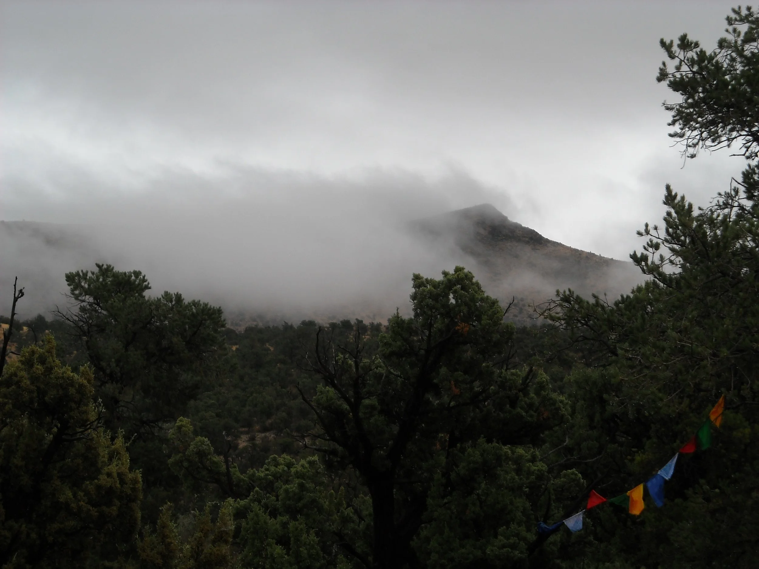 DSCN2916.JPG