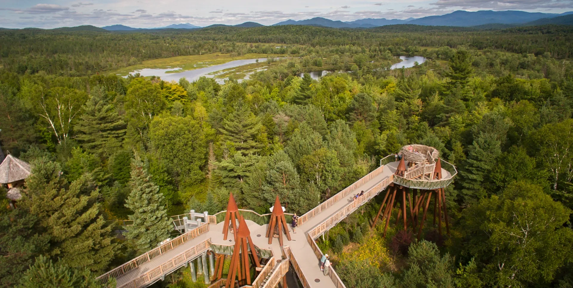 Aerial view of a treetop observation walkway with a tower, surrounded by dense green forest and a river in the distance.