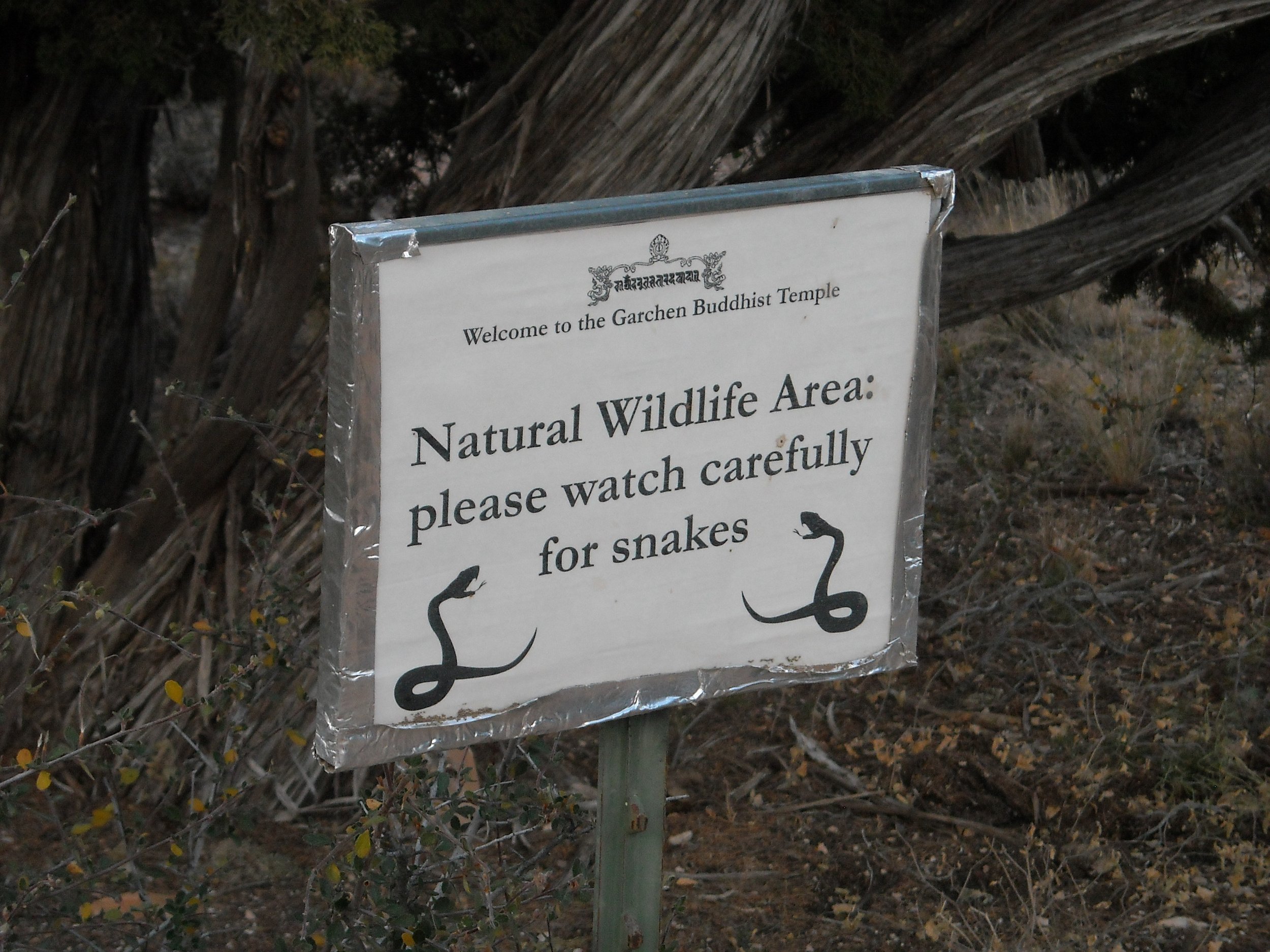 DSCN2788.JPG