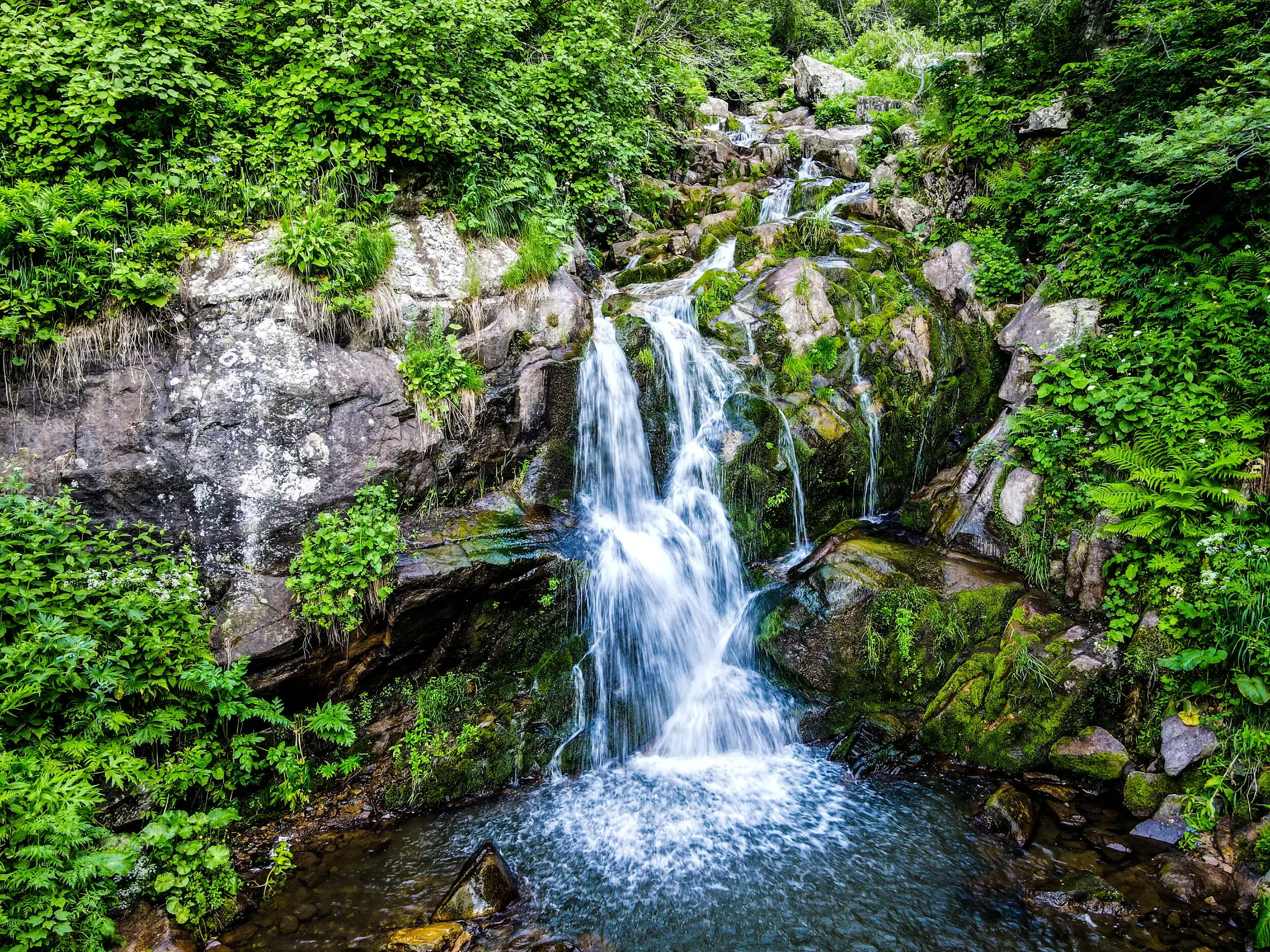 A small waterfall flowing over rocks surrounded by green foliage and plants.