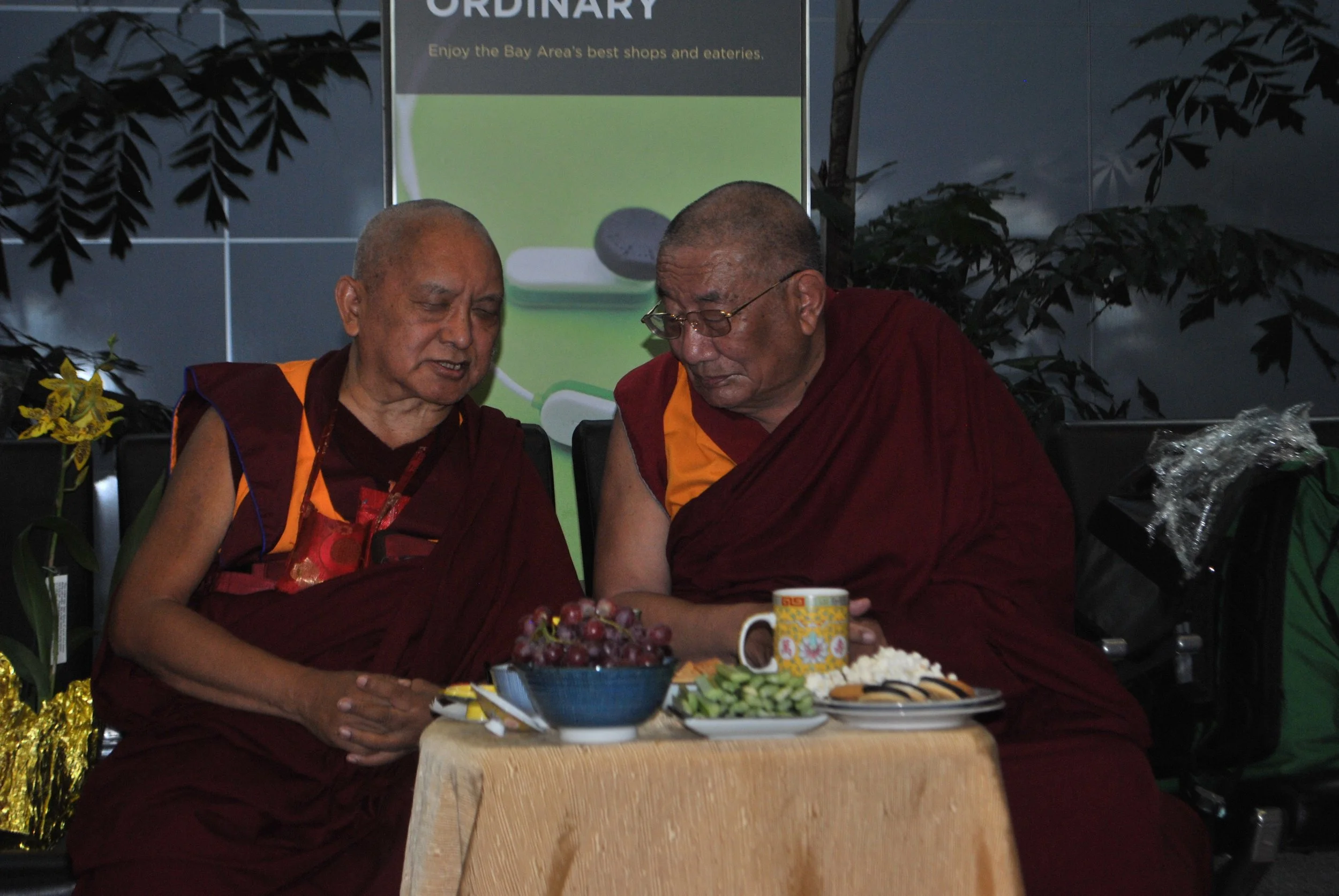 DSC_4993.JPG
