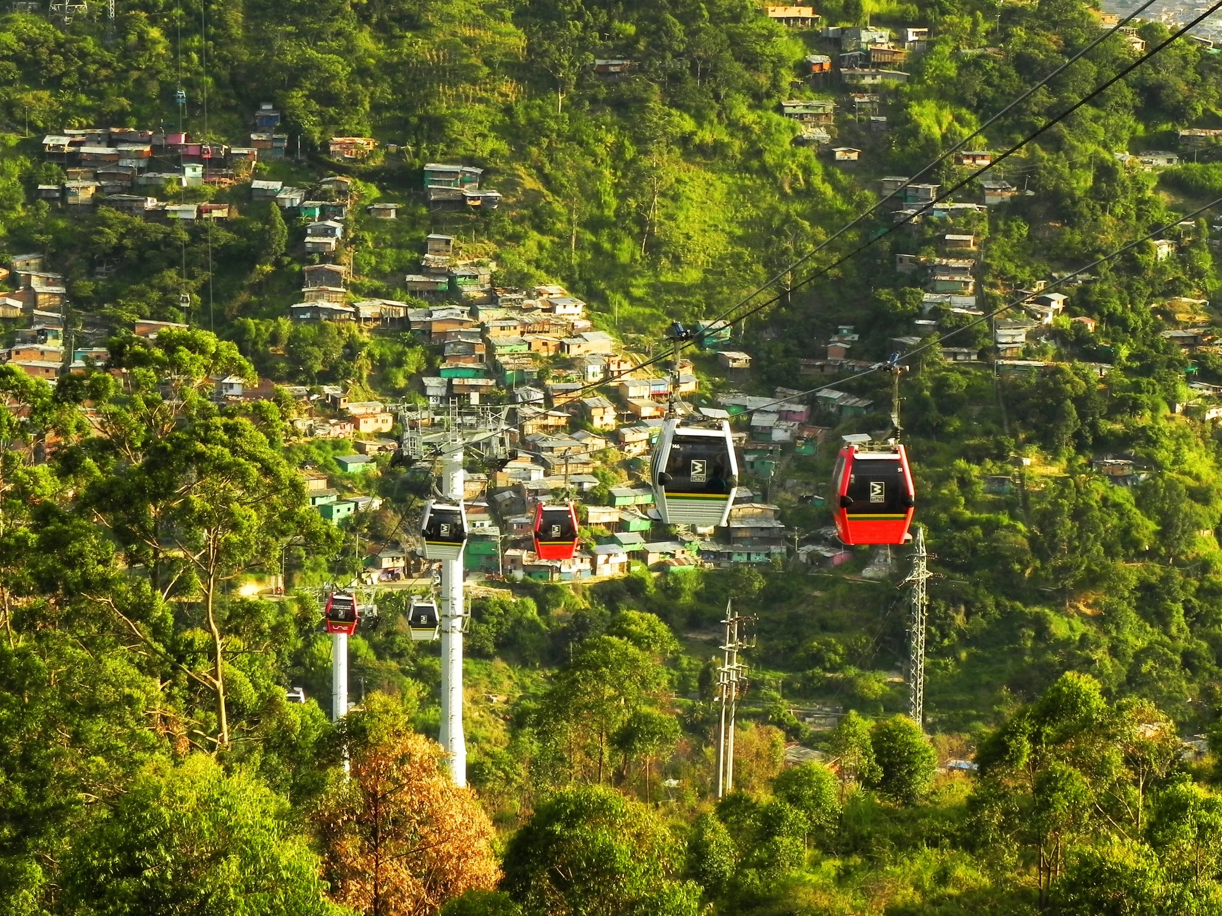 A hillside town with numerous small houses surrounded by dense green trees. In the foreground, a cable car system with red and gray cabins is visible, transporting people up and down the hill.