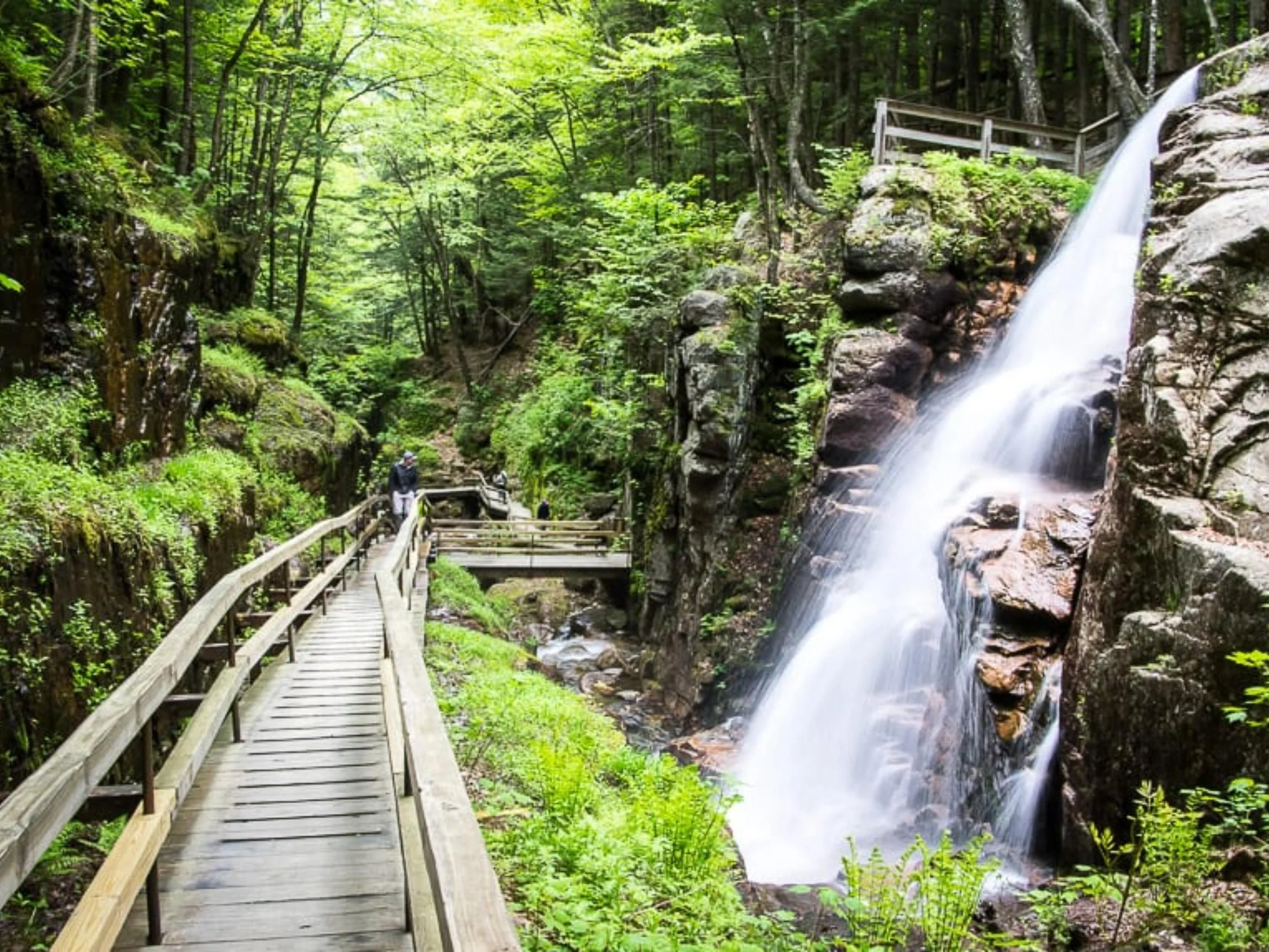 Wooden walkway in a lush green forest with a waterfall flowing down rocks on the right side.