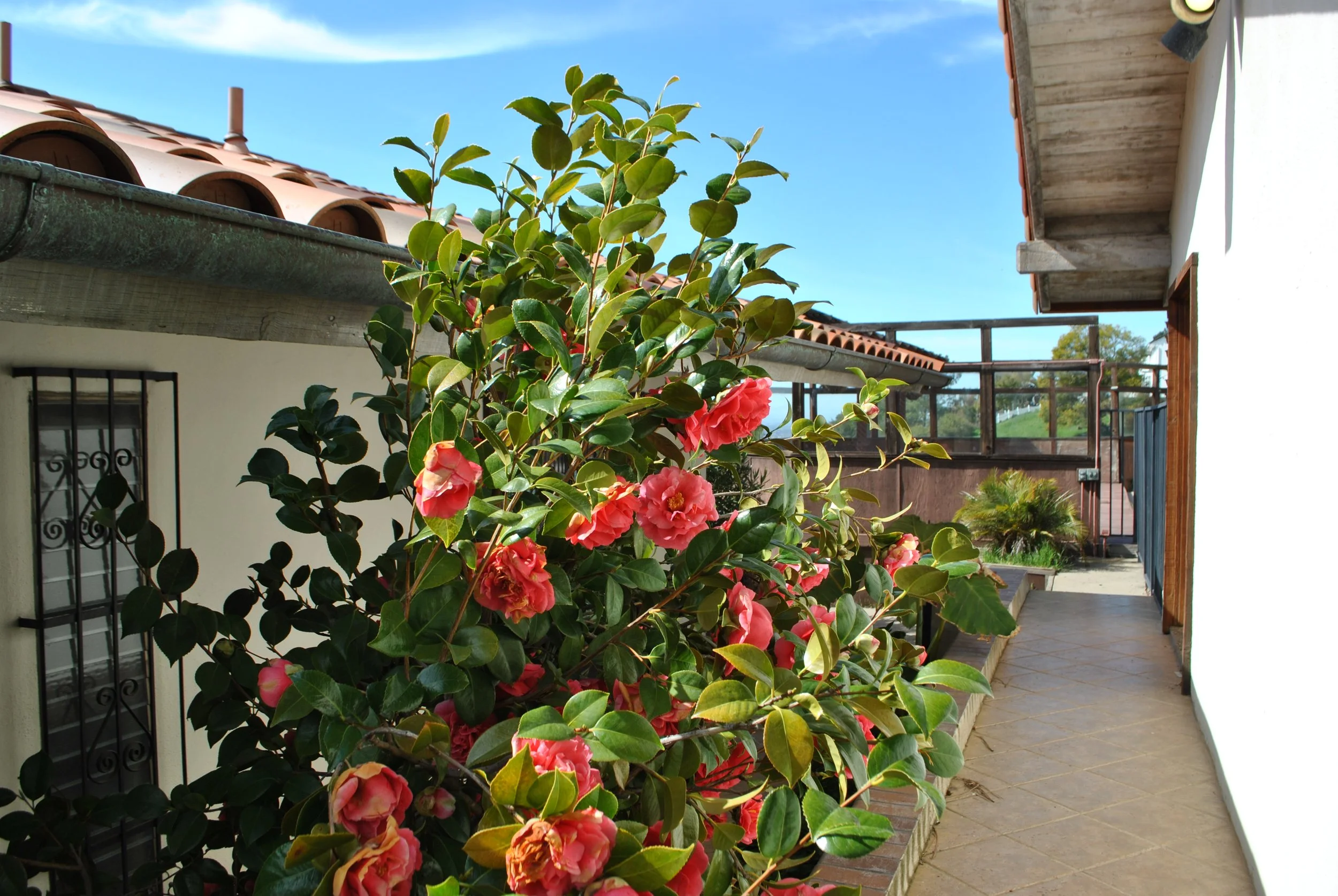 FPMT and Awakening Vajra Photography