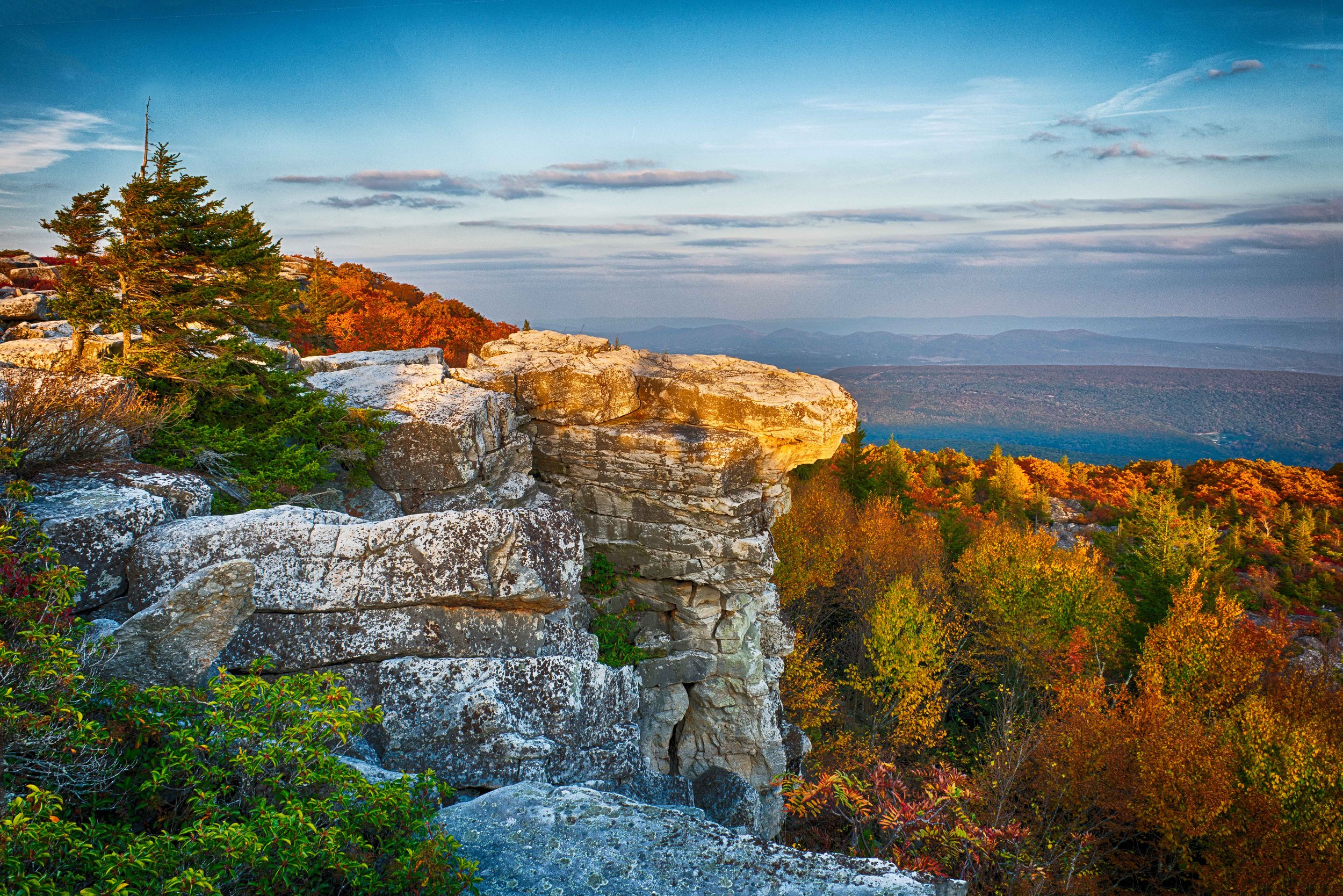 dolly-sods-golden-hour1.jpg