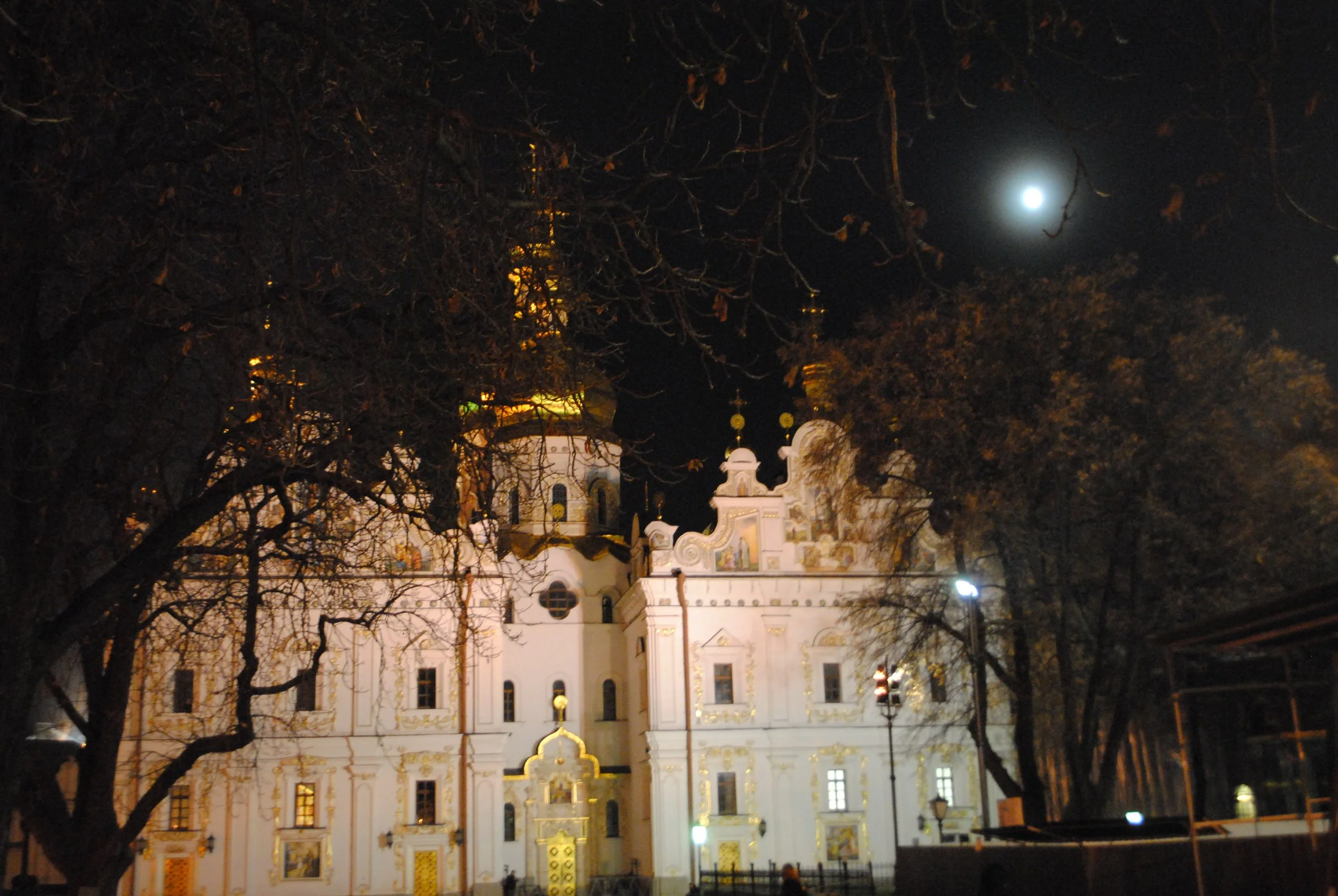 Nighttime view of a white, ornately decorated church with a golden dome, framed by leafless trees, illuminated under the moonlit sky.