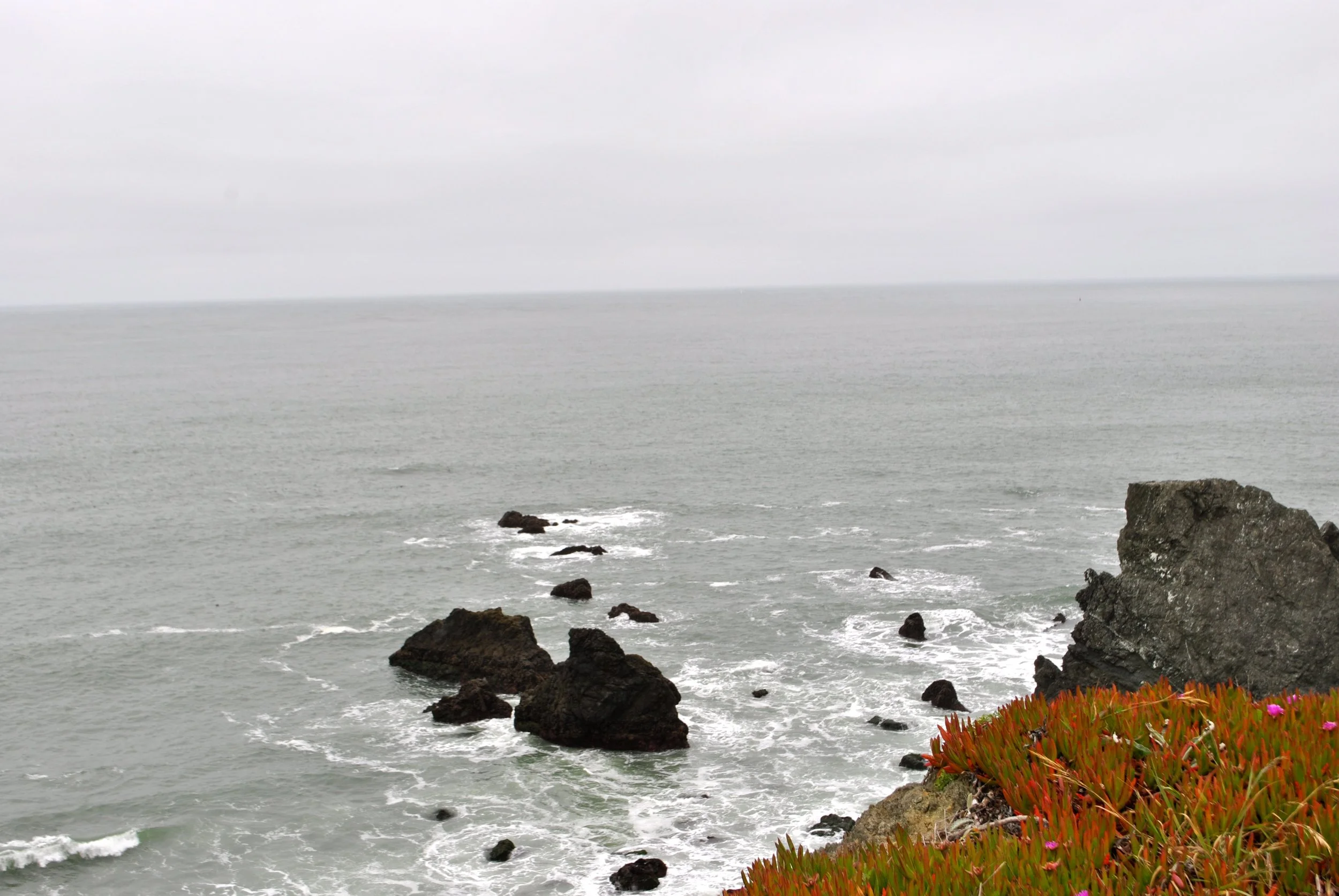 DSC_0027.jpg
