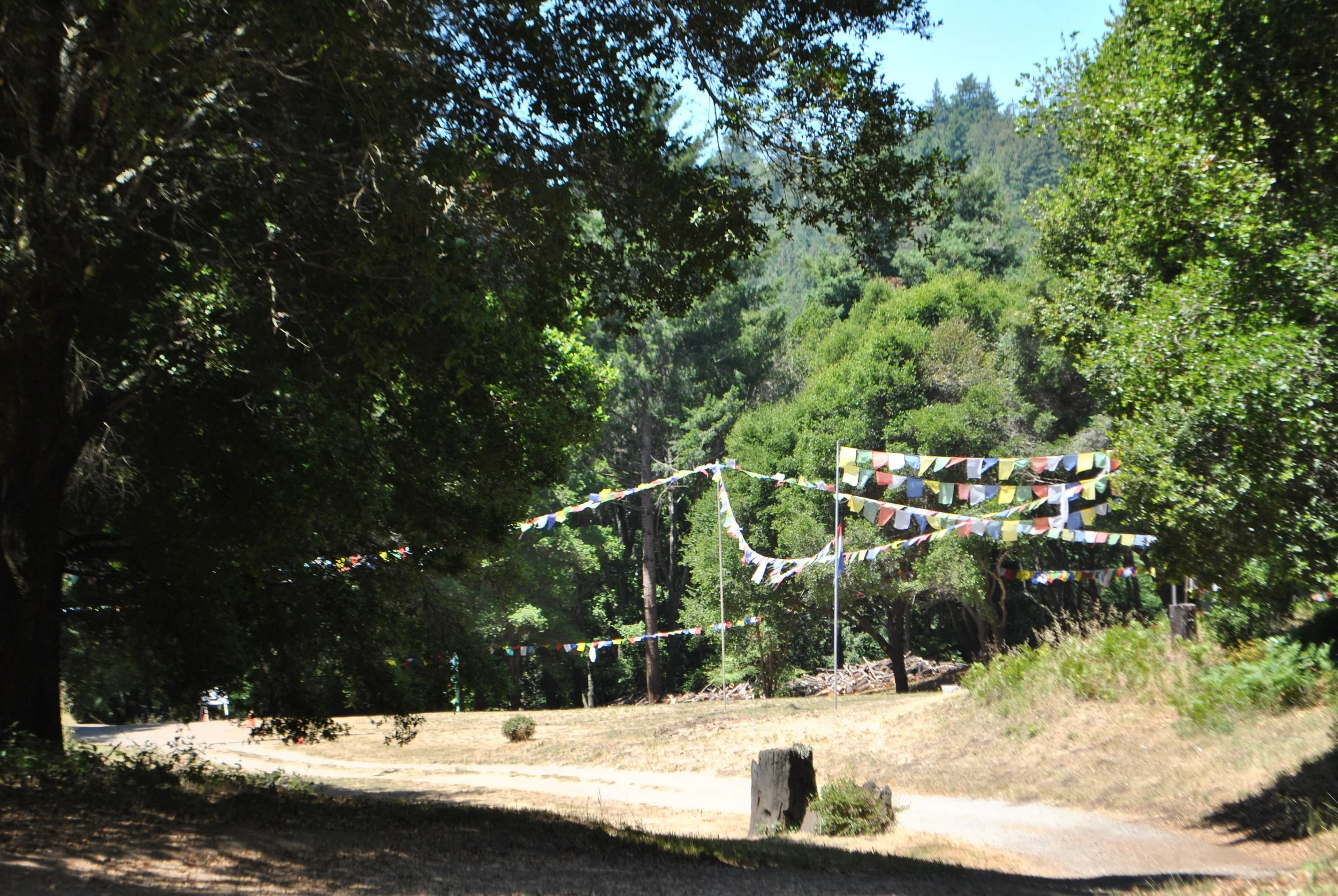 DSC_1669.jpg