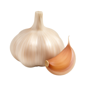 Fresh garlic bulb with a single garlic clove.