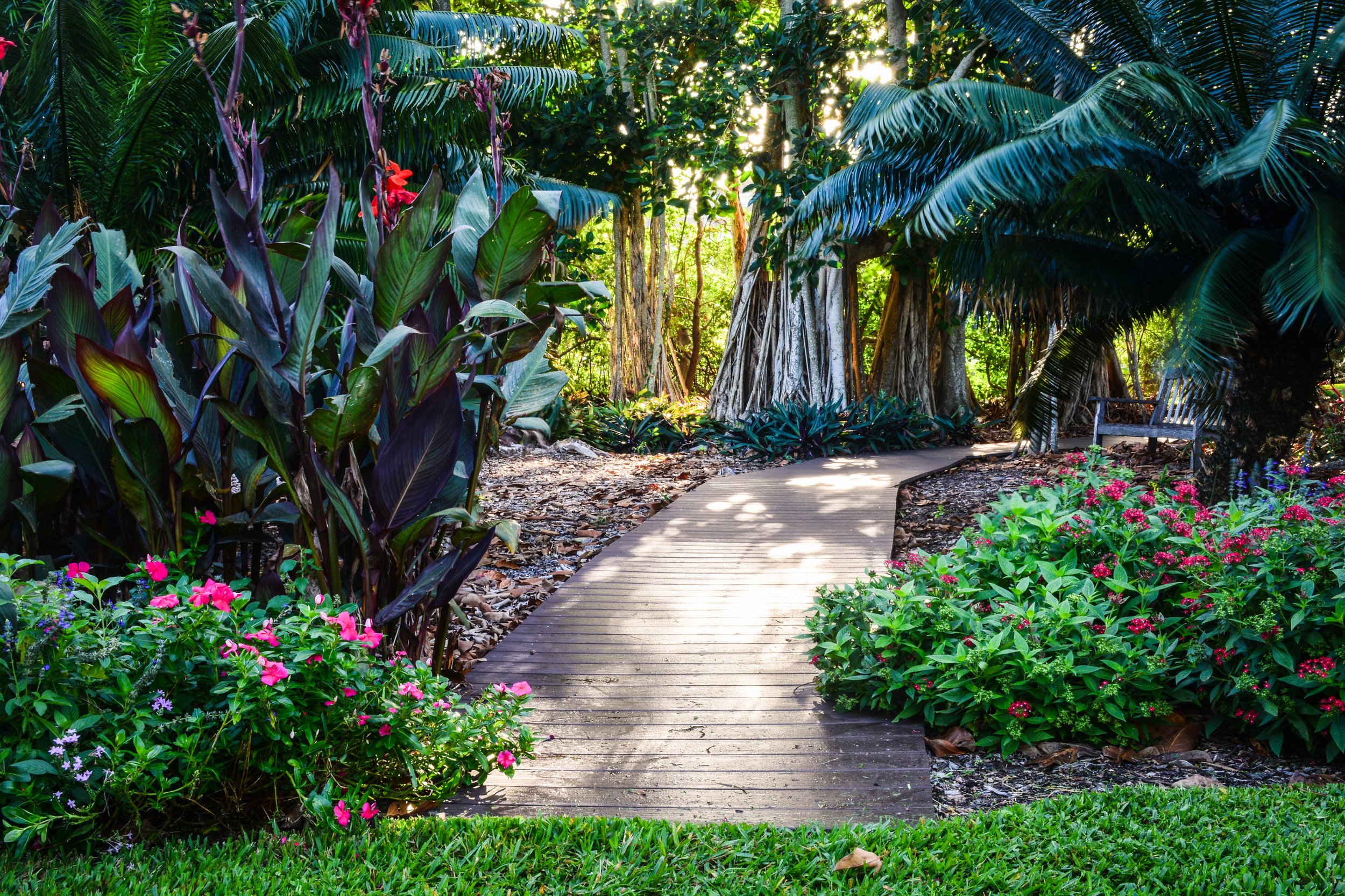 Paths-at-Selby-Gardens-Photo-Courtesy-of-Marie-Selby-Botanical-Gardens.jpg