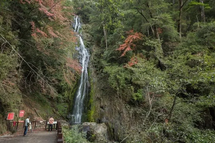 640x480_image637752708386954338.webp
