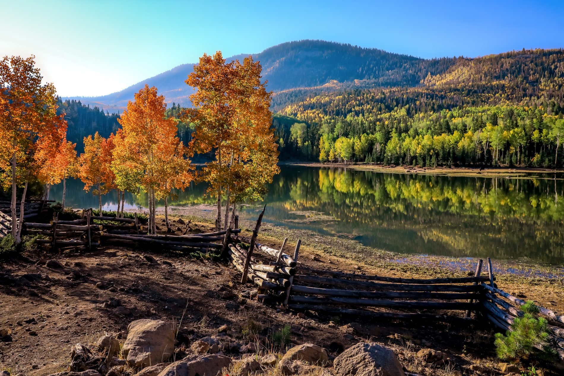A serene lake surrounded by colorful autumn trees and forested mountains under a clear blue sky.