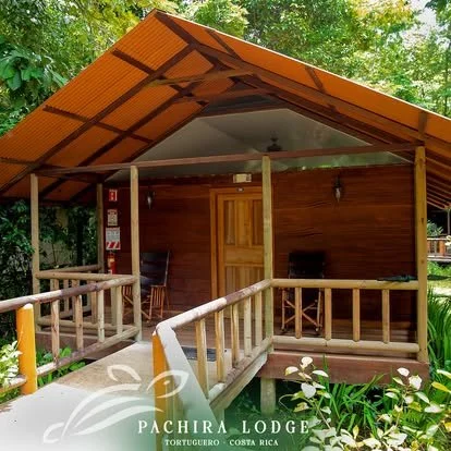 Wooden cabin with a sloped roof, surrounded by greenery and set on a wooden deck with a ramp, overlooking a lush outdoor area.