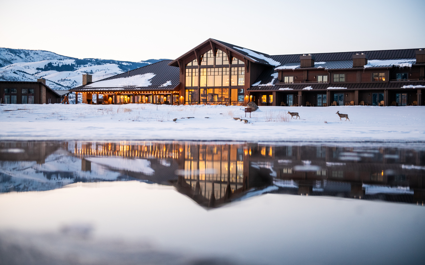 A large lodge or resort with warm lights inside, situated in a snowy mountainous landscape, reflecting in a body of water in the foreground, with two elk walking nearby.