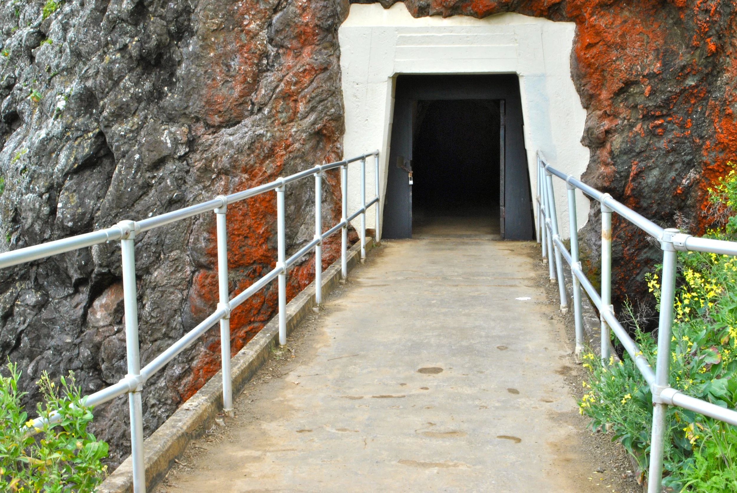 DSC_0070.jpg