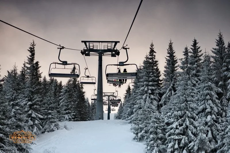 Ski lift chairs ascending through a snowy forest of tall evergreen trees on a cloudy winter day.