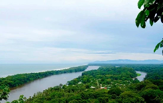 A river flowing through a lush green landscape with trees and a cloudy sky in the background.