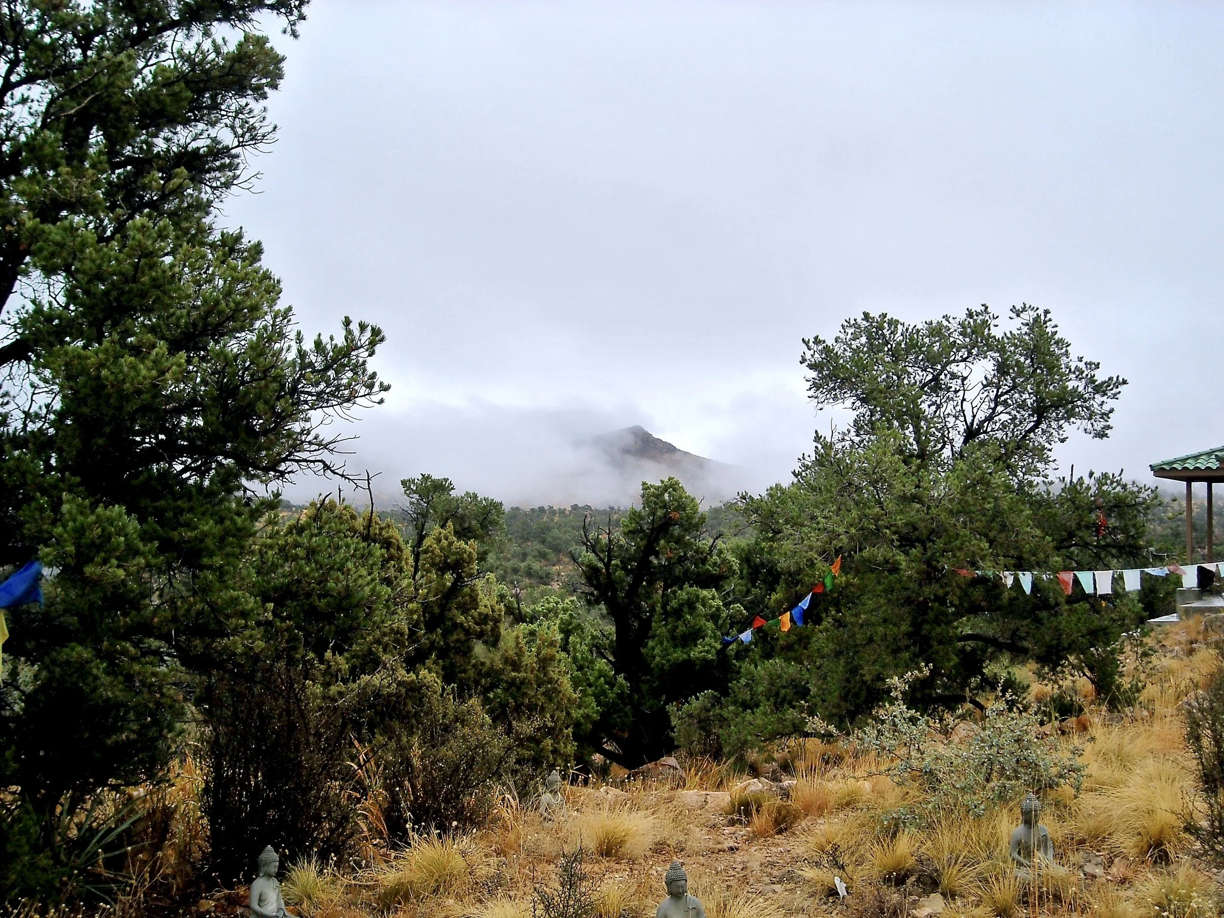 DSCN2914.JPG