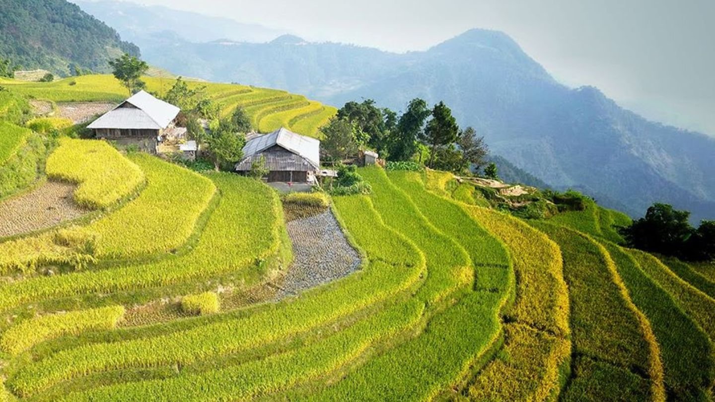Location-of-Sin-Chai-Village.jpg