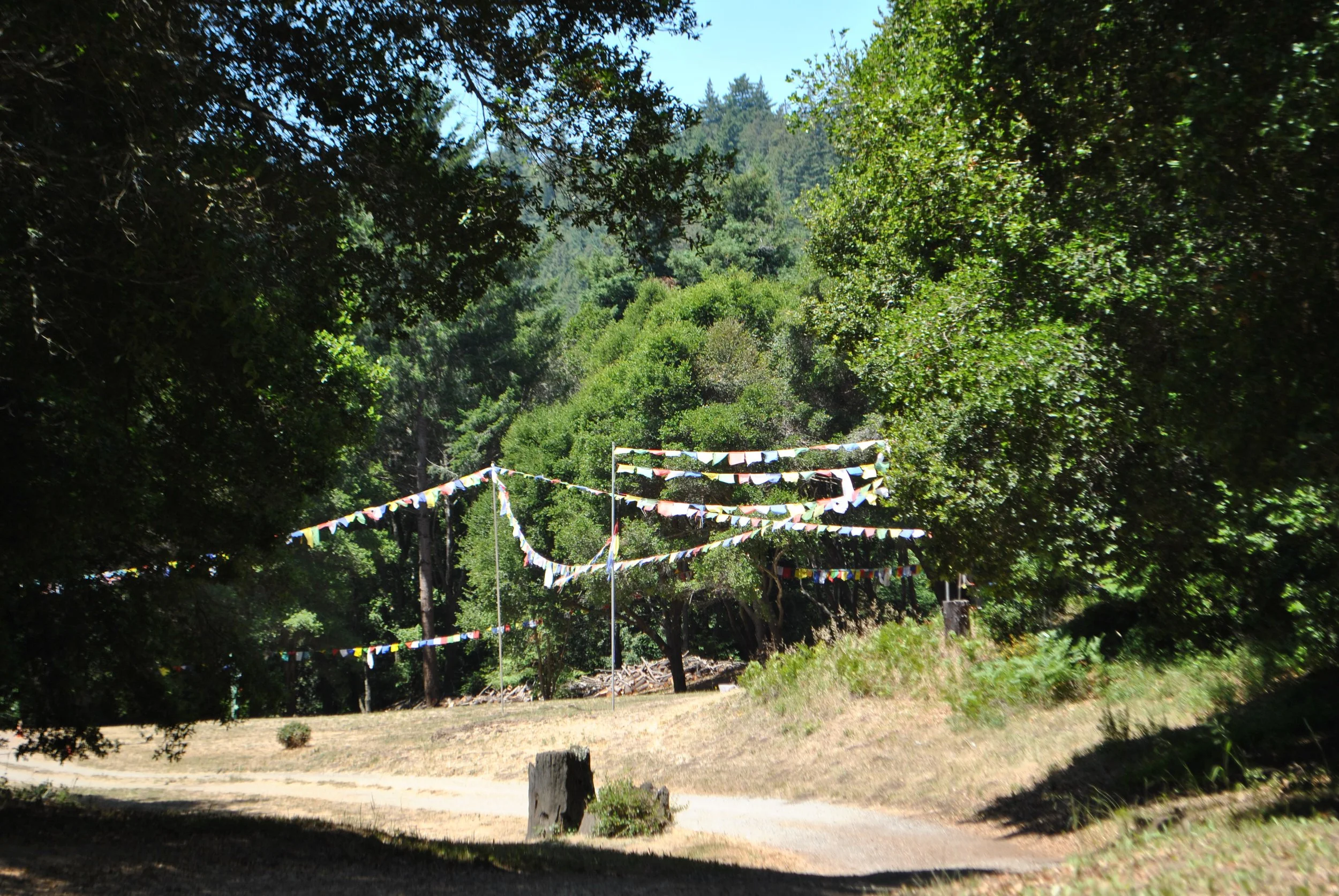DSC_1674.jpg