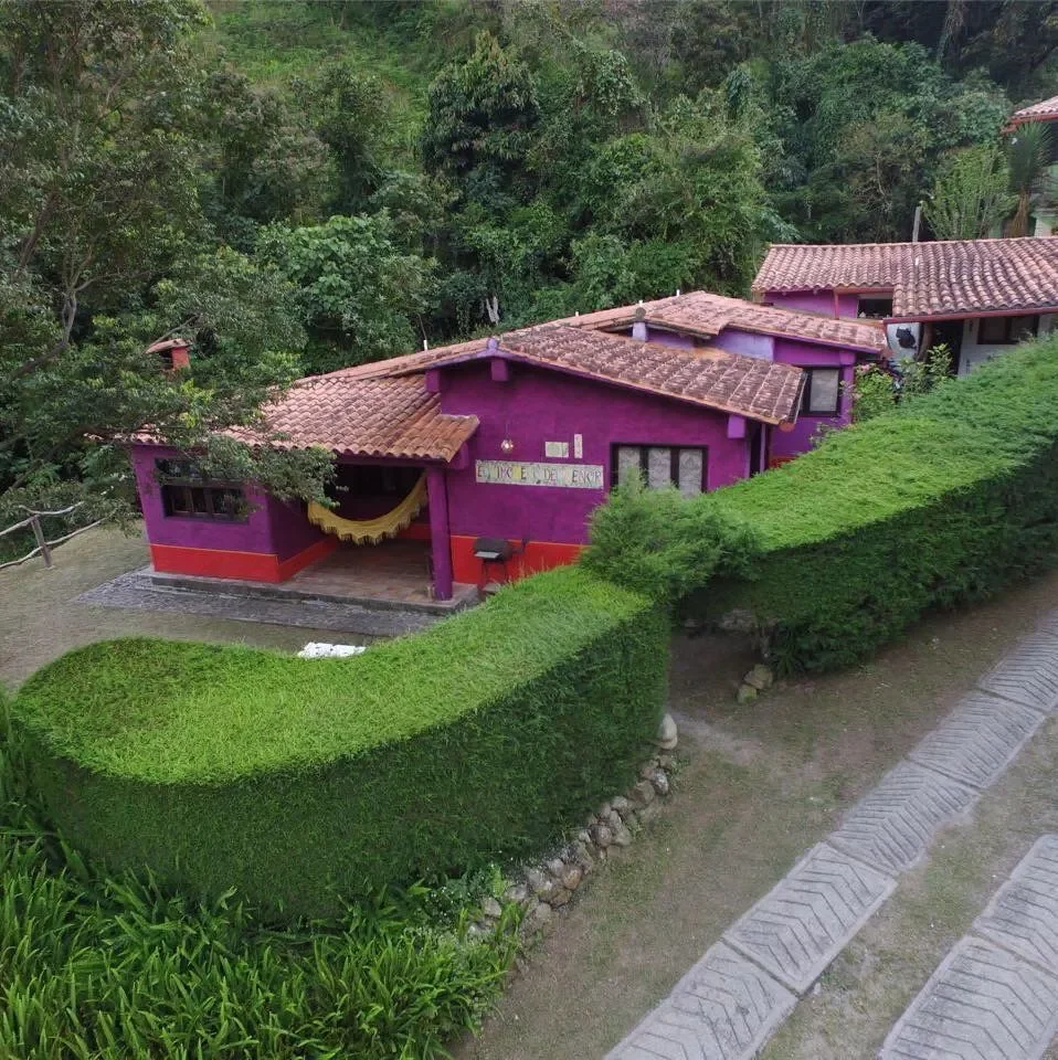 A vibrant purple house with a clay tile roof, surrounded by green foliage and a neatly trimmed hedge in a lush outdoor setting.
