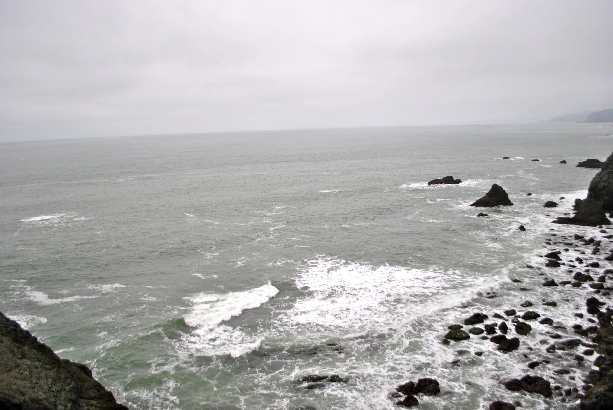 DSC_0092.jpg