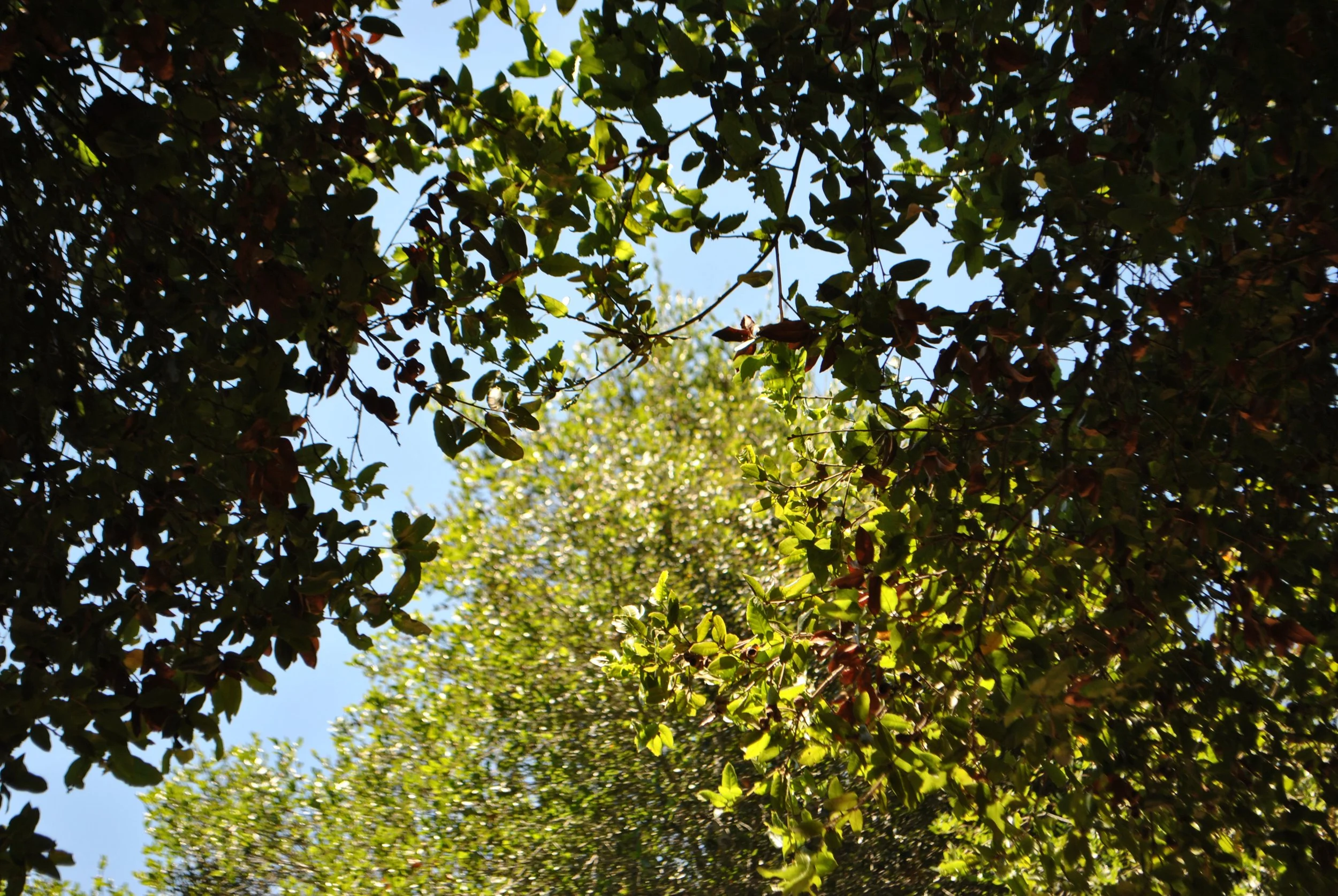 DSC_1673.jpg