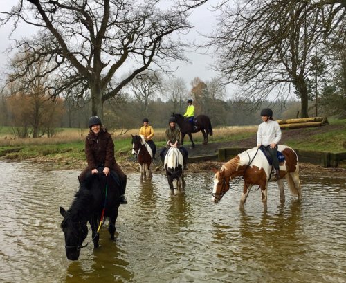 Five people riding horses through a shallow pond in a park with trees and grass.