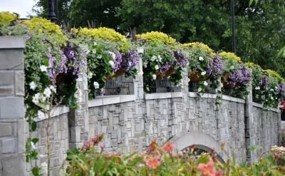 botanical-garden-1.jpg